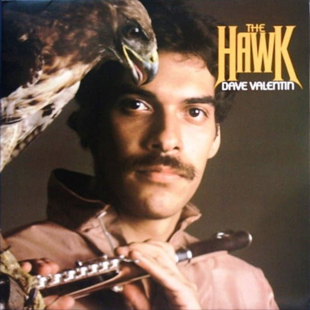 dave valentin the hawk rare 1979 lp - latin jazz funk soul pop tropic heat flute